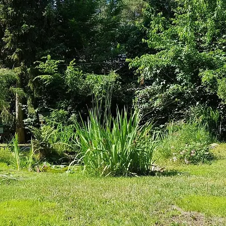 Holiday home Fichtenwalde, 160m², 3 Sz, 2 Baeder, Bis 6 Personen, Garten, Vdsl Fichtenwalde